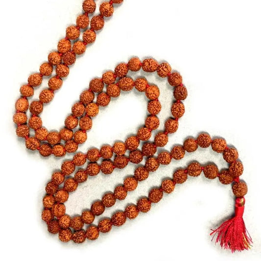 A 108-bead rudraksha mala for japa and Kriya practice