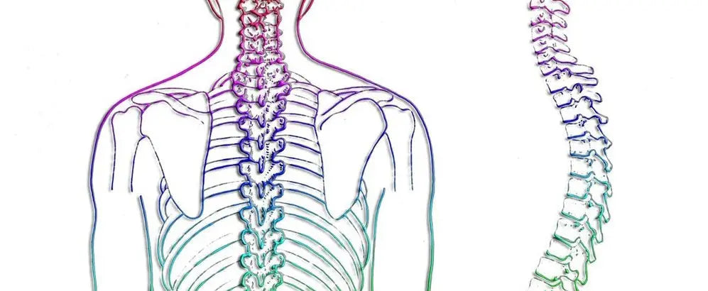 Posture is Critical in Meditation
