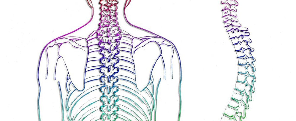 Posture is Critical in Meditation