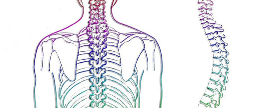Posture is Critical in Meditation
