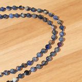 Akasha Lapis Prayer Mala