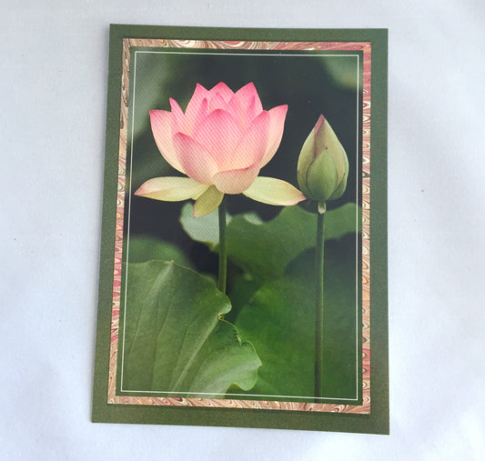 Vintage SRF Greeting Cards - Complete Set